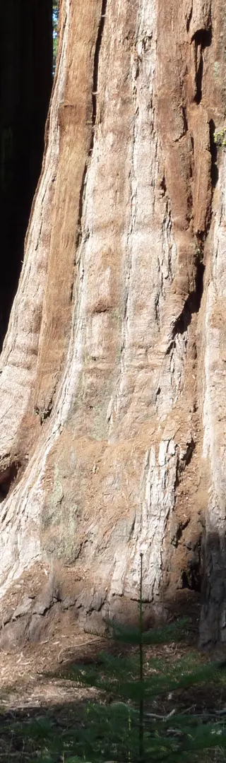 Yosemite
